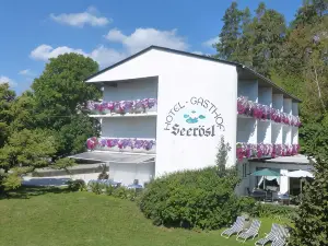 Hotel Garni Seerösl am Wörthersee , Kärnten