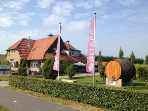 Wijngaard Saalhof