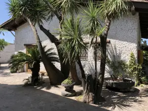 薩卡娜西亞飯店