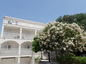 奧瑞比克哥斯達黎加公寓酒店