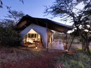 Basecamp Wilderness