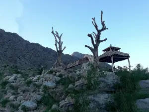 Helan Mountain Rock Art Ancient Village Ancient Forest Homestay