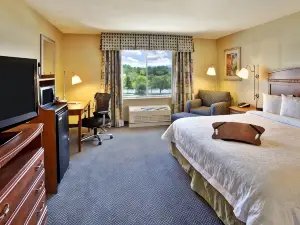Hampton Inn Rutland