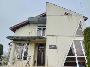 Vila Nei