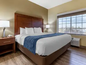 Comfort Inn & Suites High Point - Archdale