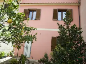 L'Agrifoglio di Emy