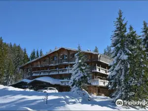 Chalet Hotel le Collet