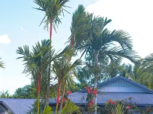 Birch Resort Port Douglas
