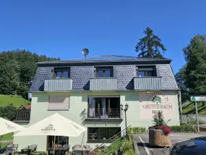 ホテル ランドガストホフ グリューナー バウム