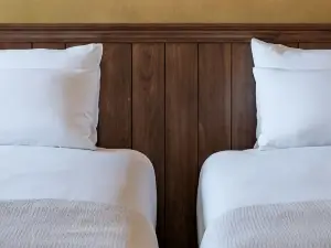 THE ALPS HOTEL HAKUBA