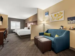 Comfort Suites Cullman I-65 Exit 310