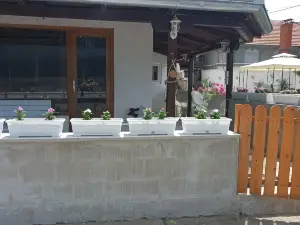 Apartmani sa Pogledom na Dunav - Akademik