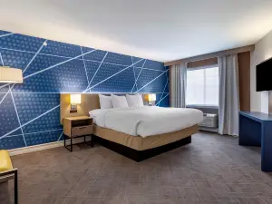 Comfort Inn & Suites East Greenbush - Albany