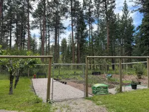Montana Forest Retreat, Easy Walk to Flathead Lake, 1.5 Acres Fenced for Dogs!