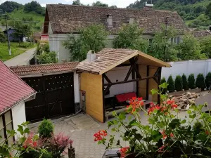 Pensiunea Liana