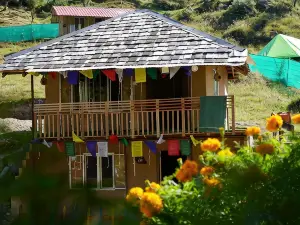 Billing adventure camp