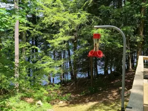 喬治湖湖畔家庭旅館（配有壁爐，歡迎攜犬，歡迎遠程辦公人士）