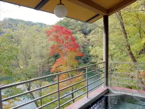 帝釈峡観光ホテル錦彩館