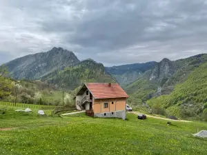 Family Owned Self Sufficient Eco Farm Tara
