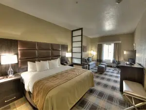 Comfort Inn & Suites Fort Worth West I-30 Nas JRB