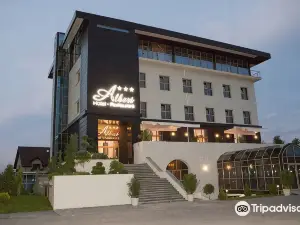 Albert Hotel