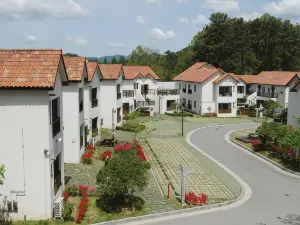 Meta Pension, DamYang