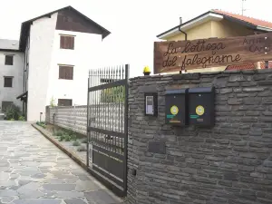 La Bottega Del Falegname