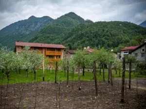Apartments Masera