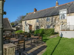 The Buddle Inn