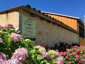 Domaine de Ludeye, Chambres d'hôtes - Médoc