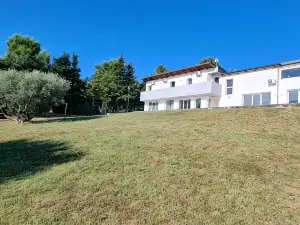 B&B 일 파라디소