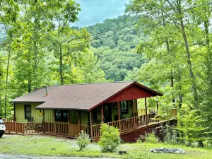 Easy Walk to Lake, Best Hikes & Scenery! Direct access to Ramp, Fish, Swim