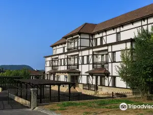Sakit Gol - Silent Lake Hotel