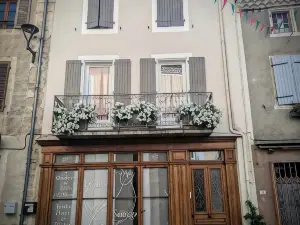 La Tulipe Sauvage