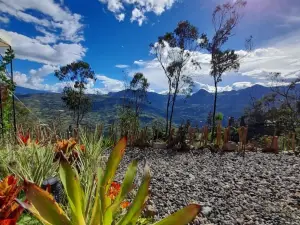 IslaMontaña Glamping