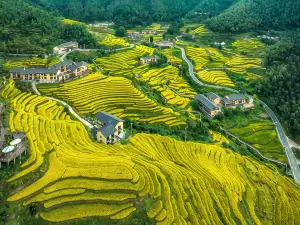 Chongyi pusu homestay