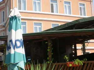 Vidin Hotel