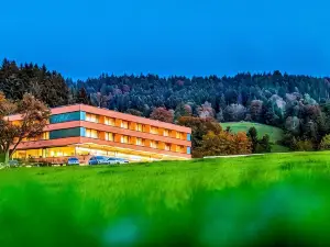 Fritsch am Berg - Adults Only