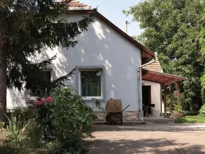 Borostyan 20 Vendeghaz