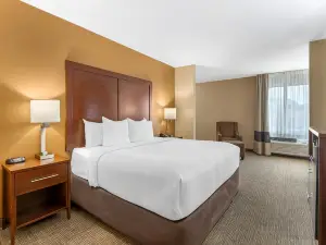 Comfort Inn North Conroe