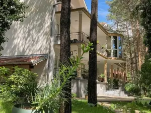 Vila Dunavski Raj