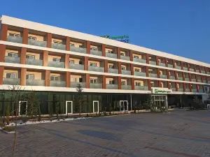 Holiday Inn Express MANISA - WEST by IHG