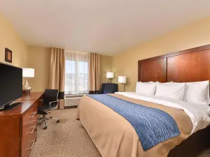 Comfort Inn & Suites Mandan - Bismarck