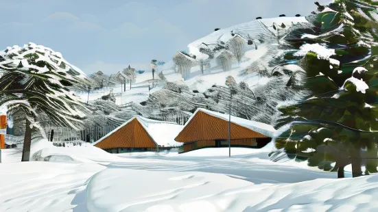 Hotel y Cabanas del Nevado