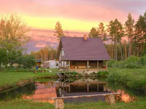 Guest House Ziedkalni