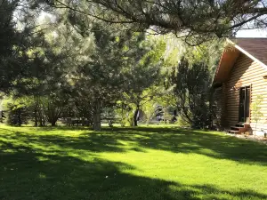 Peaceful & Beautiful Idaho Log Lodge w/ Activities