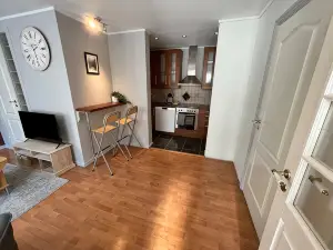 Central 1BR apartment (D14D)