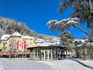 施米茨費爾登庫爾酒店