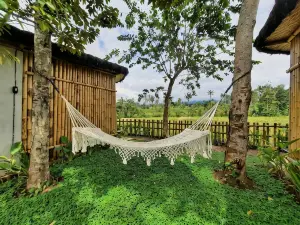 Sawah Ijen & Guest House Banyuwangi