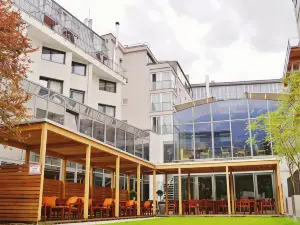 Hotel Grauer Bär